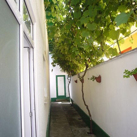 Apartamente Pinciuc Costinesti Exterior photo